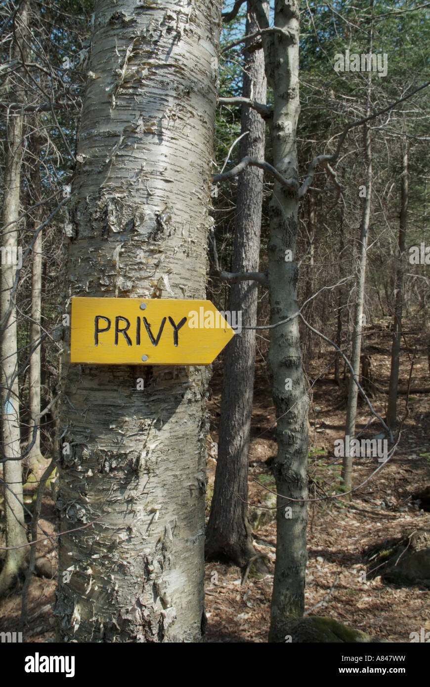 Appalachian Trail -Hexacube rifugio nei pressi del Monte Cube nello stato del New Hampshire USA Foto Stock