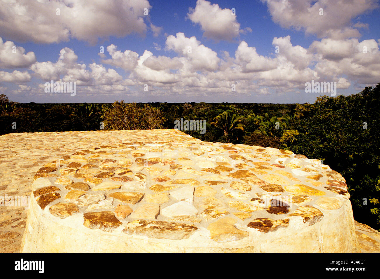Altun ha rovine Maya, Belize Foto Stock