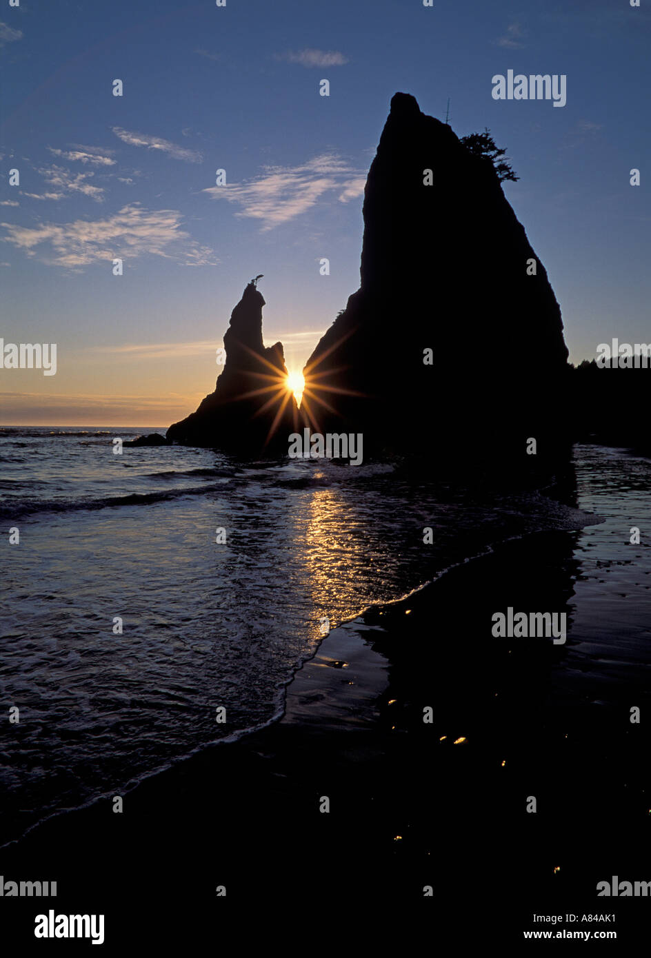 Stack di mare la formazione di roccia al tramonto sulla spiaggia di Rialto Olympic National Park costa di Washington Foto Stock