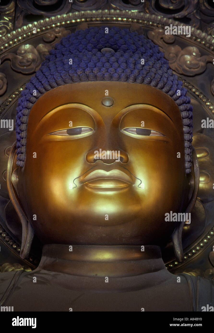 Buddha del Western Paradiso al Byodo In tempio Valle dei Templi Windward Oahu Hawaii Foto Stock