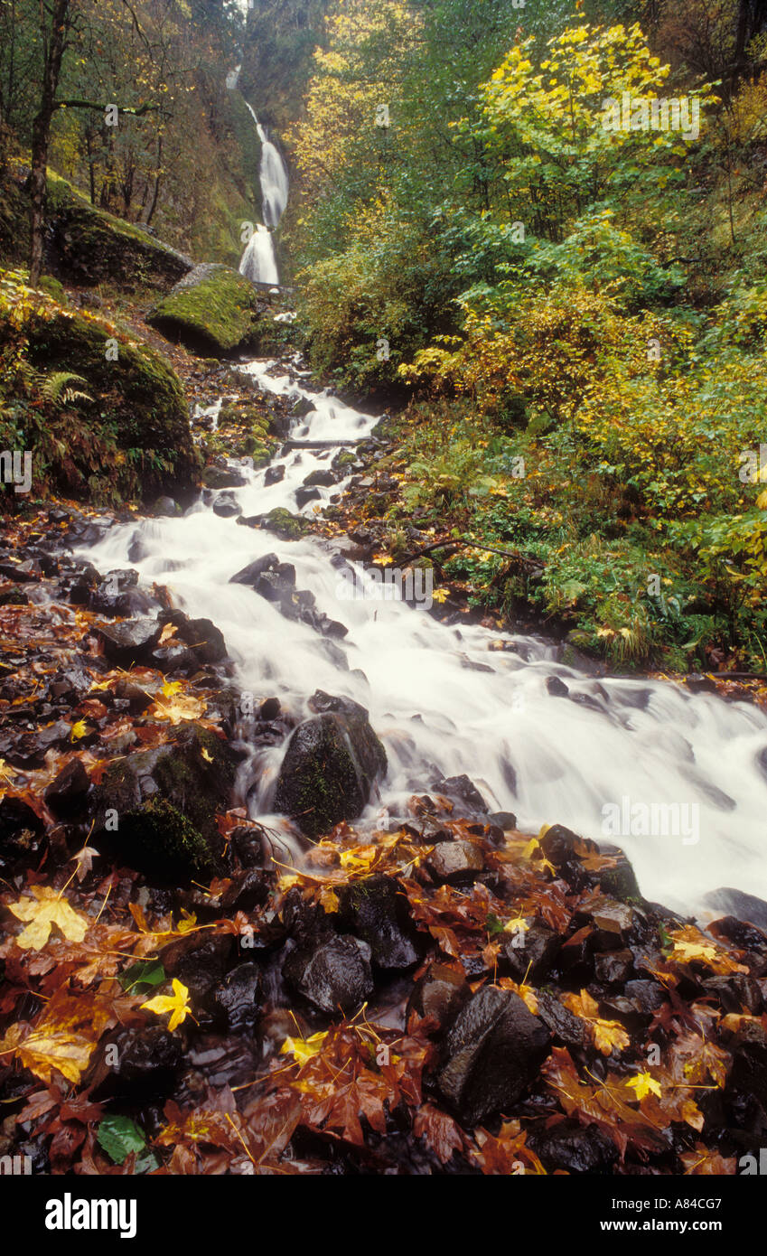 Wahkeena cade in autunno Columbia River Gorge National Scenic Area Oregon Foto Stock