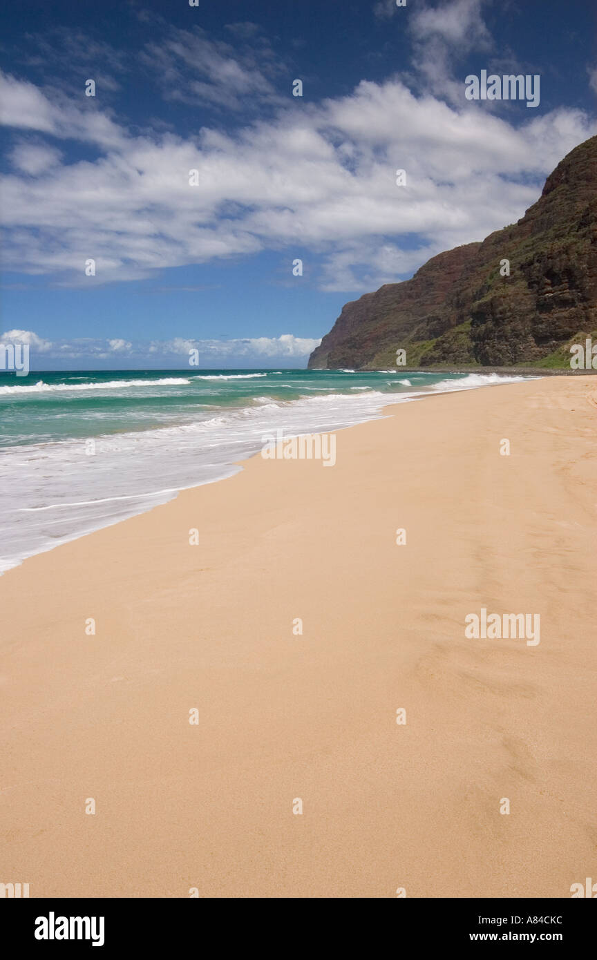 Spiaggia di Polihale Park guardando verso la costa di Na Pali Kauai Hawaii Foto Stock