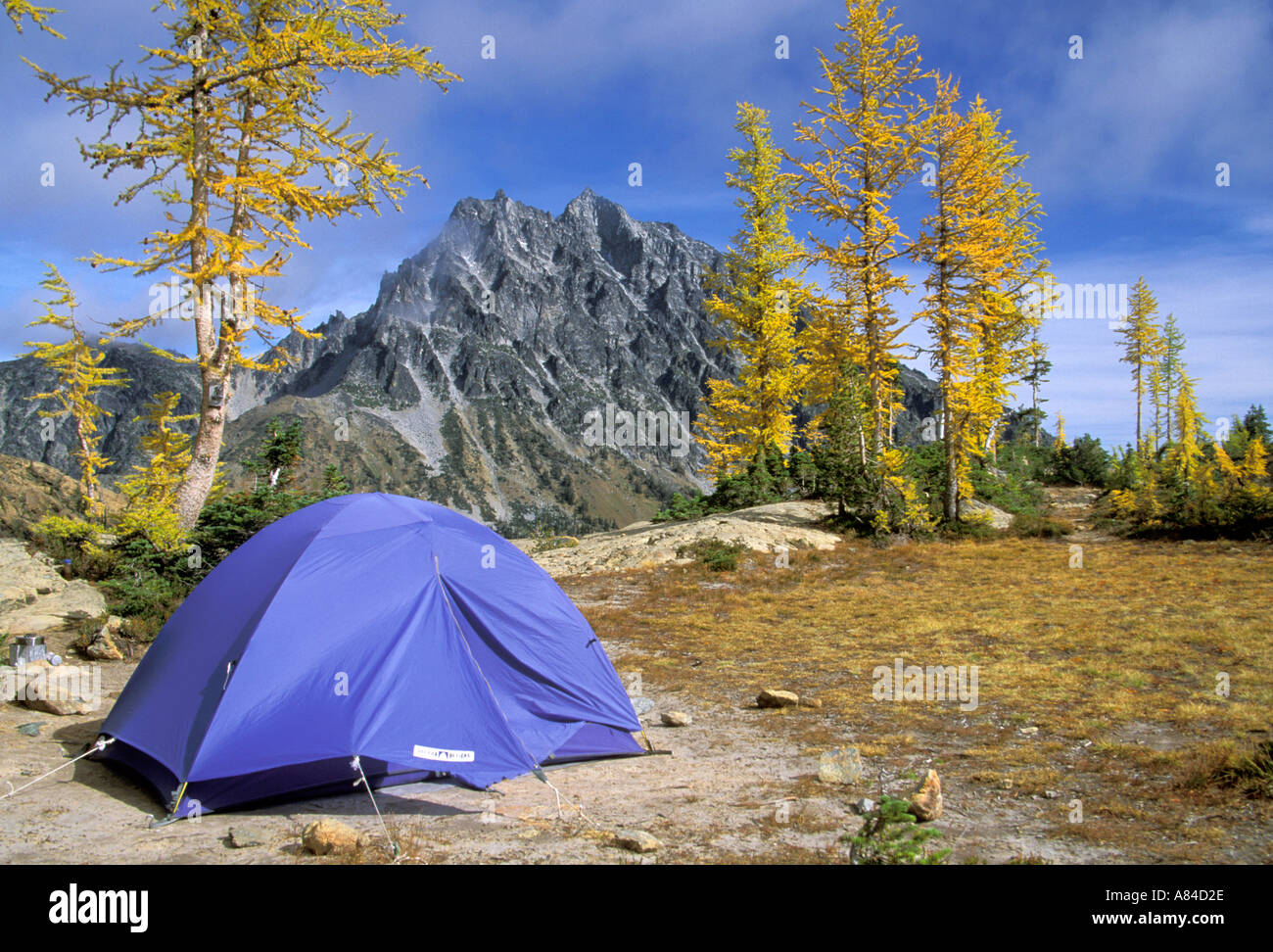 Tenda in campeggio lago Ingalls Alpine Lakes Wilderness Wenatchee National Forest Cascade Mountains Washington Foto Stock