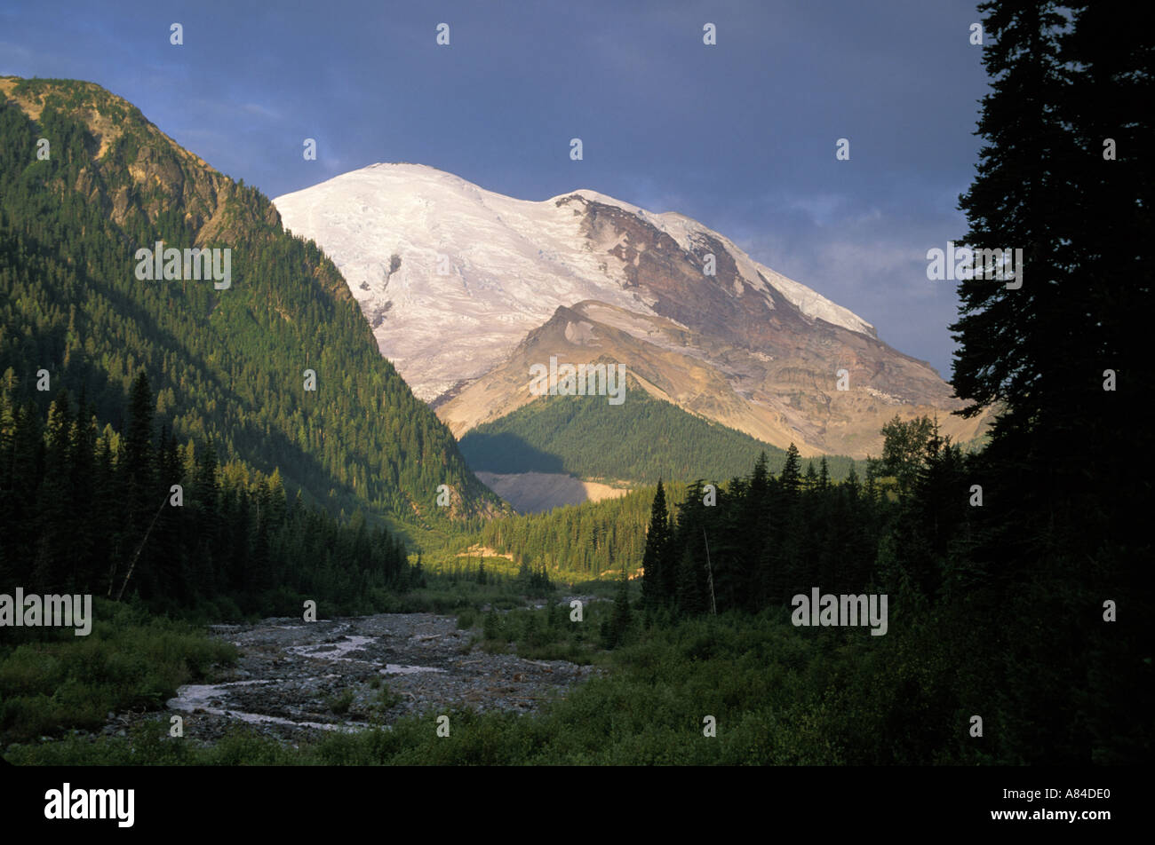 Mount Rainier e White River Il Parco Nazionale del Monte Rainier Washington Foto Stock