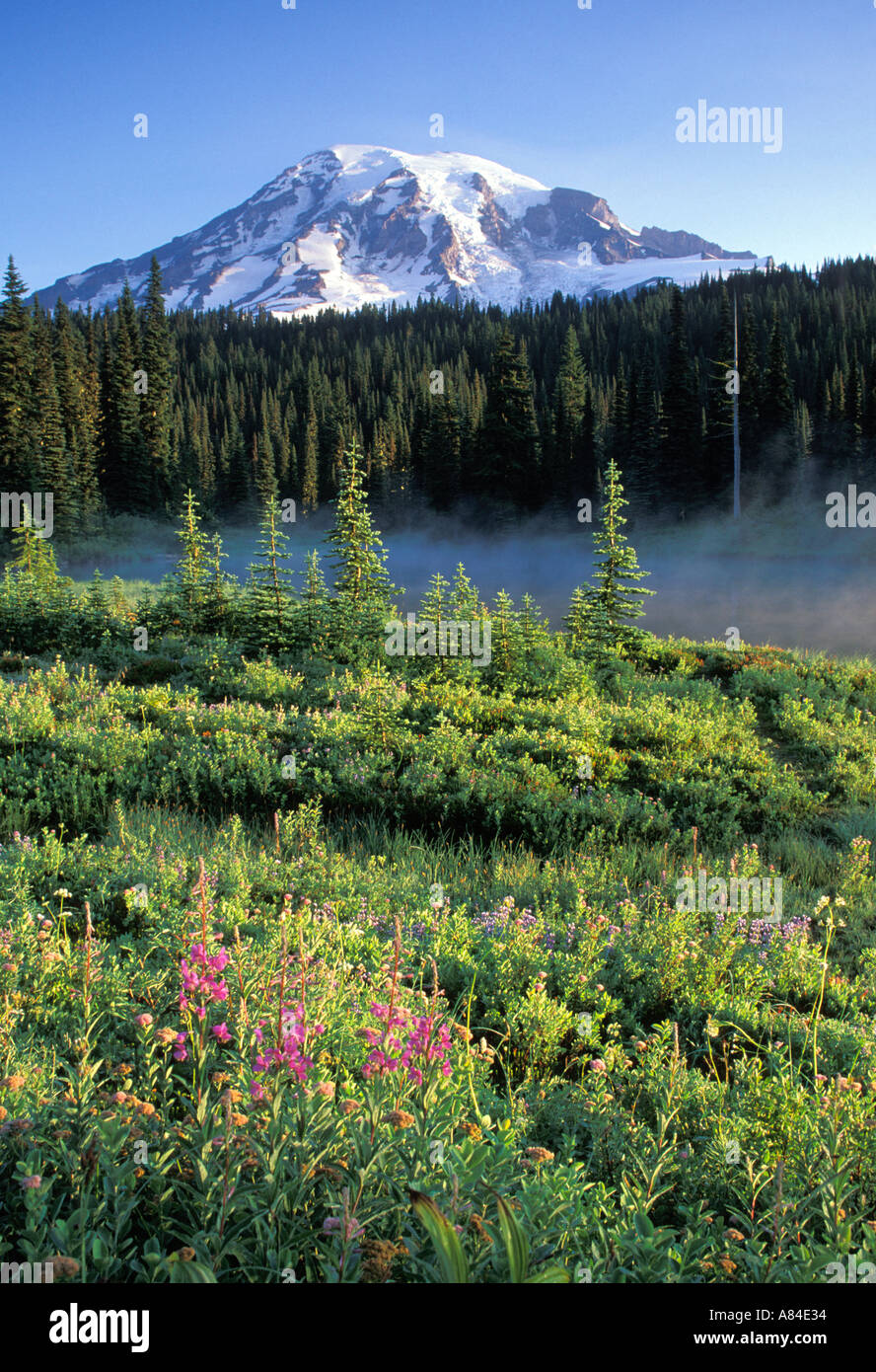 Mount Rainier e Lago di riflessione il Parco Nazionale del Monte Rainier Washington Foto Stock