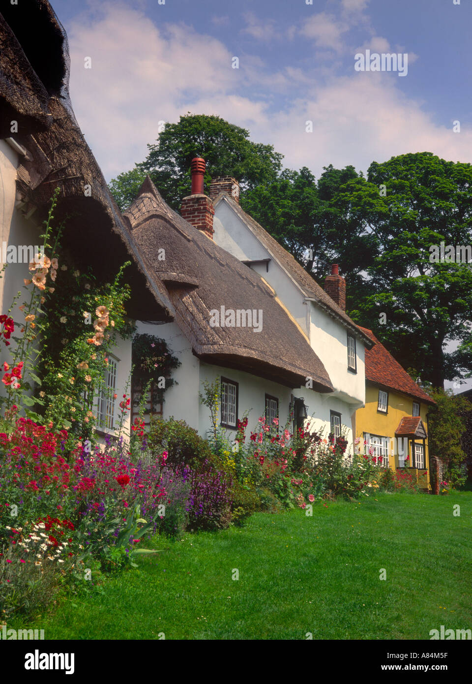 Cottage con il tetto di paglia a Wendens ambone vicino a Saffron Walden Essex England Regno Unito Foto Stock