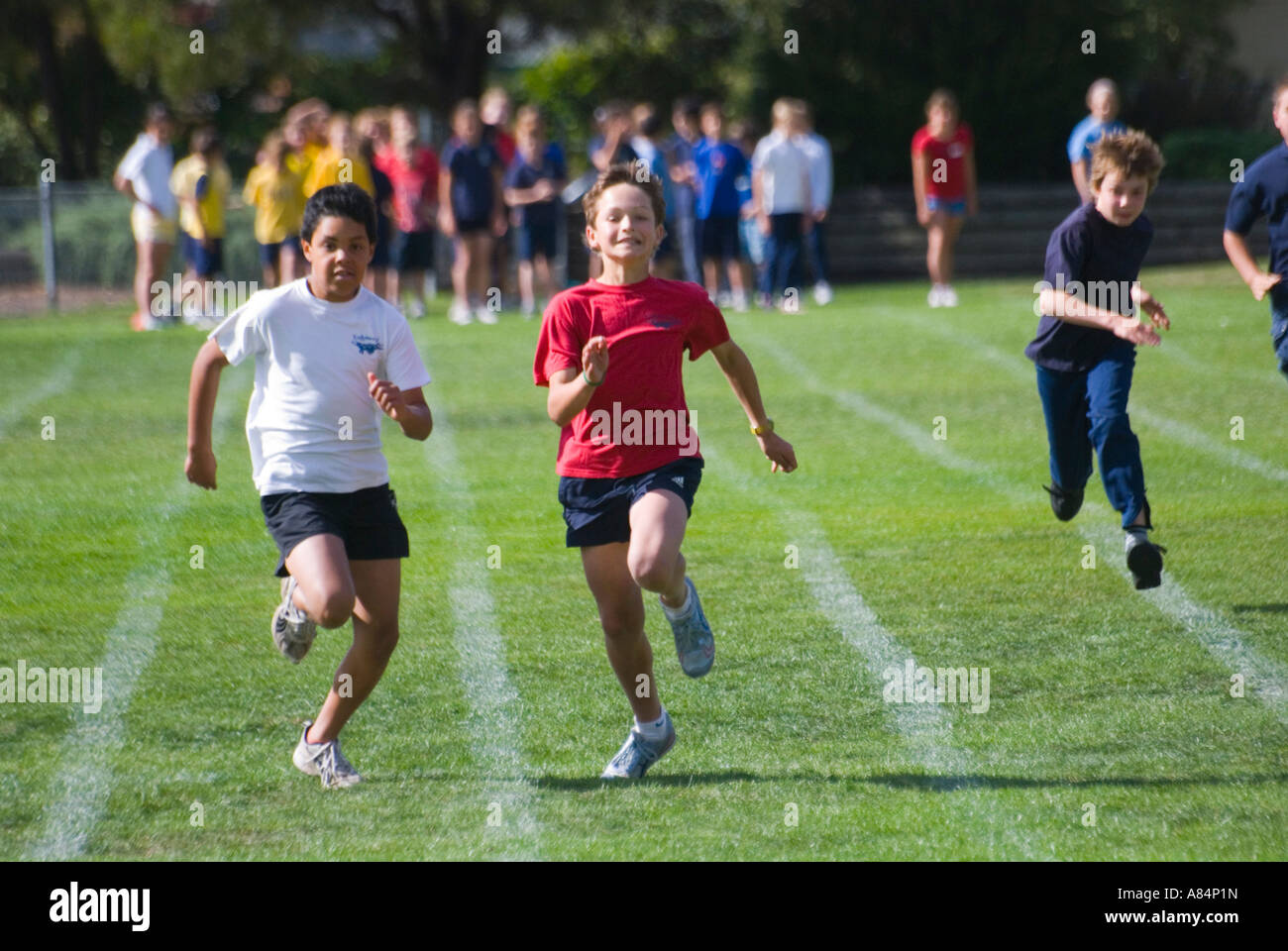 I bambini in competizione nella scuola primaria atletica Hobart Tasmania Foto Stock