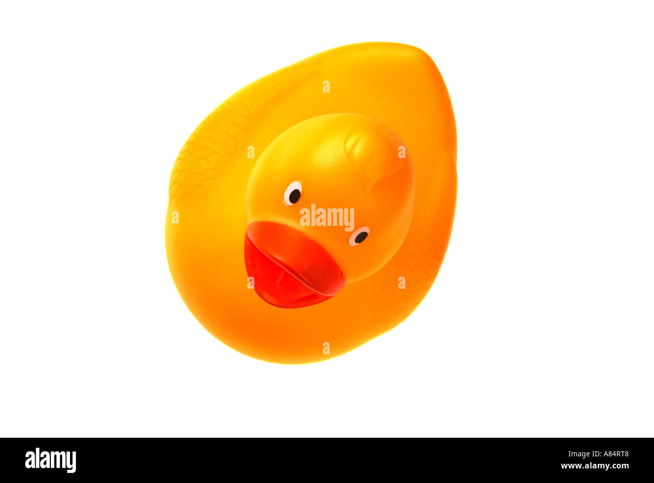 Rubber Duck dal di sopra contro uno sfondo bianco Foto Stock