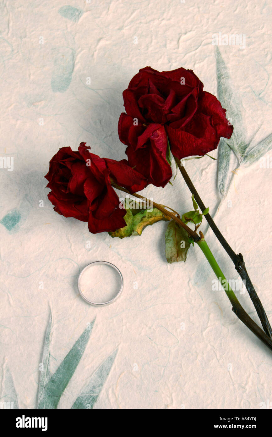 Dead Rose e anello di nozze. Foto Stock