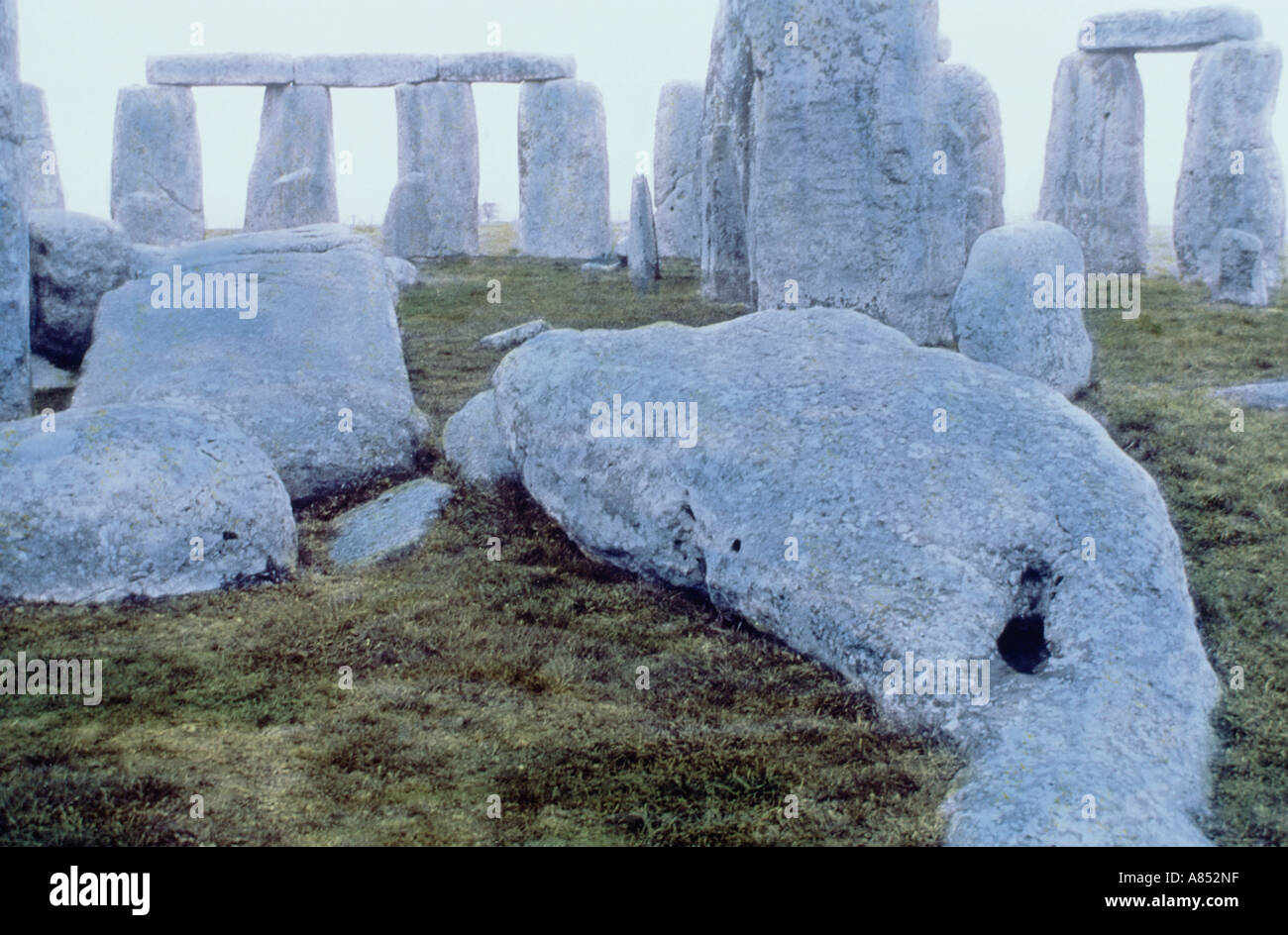 Regno Unito. In Inghilterra. Wiltshire. Stonehenge. Colorata a mano in fotografia. Foto Stock