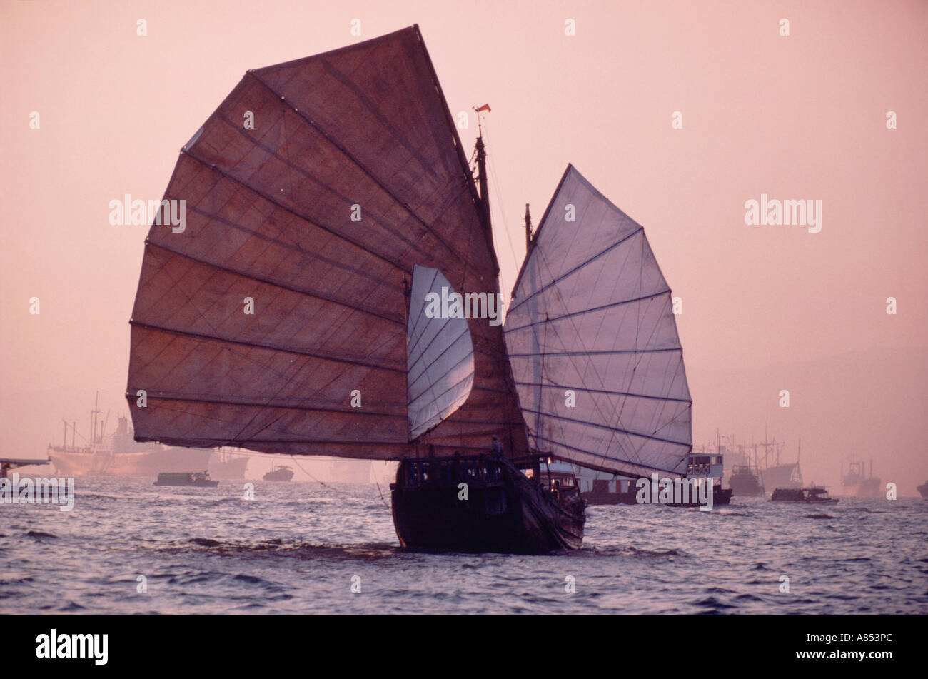 Cina. Porto di Hong Kong. Giunca Cinese barca a vela. Foto Stock