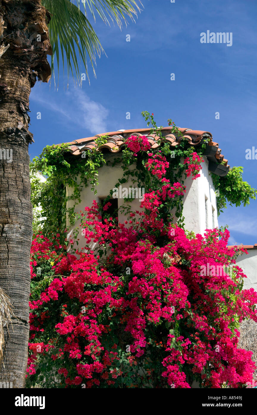 Vegetaion tropicale in stile mediterraneo Las Brisas Hotel in Palm Springs, California Foto Stock