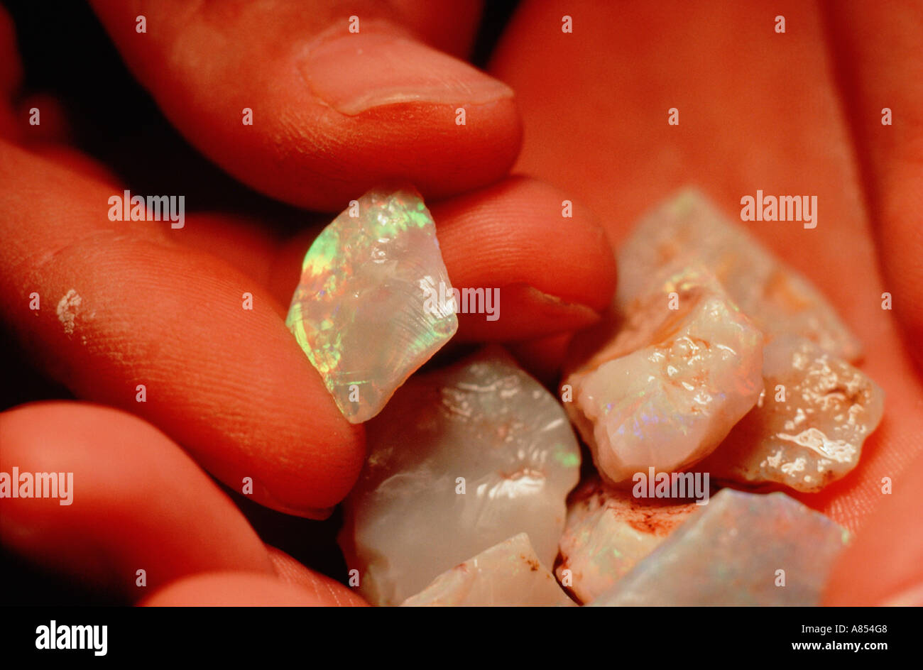 Il South Australia. Coober Pedy. Close-up di uomo di mani intonso opali. Foto Stock