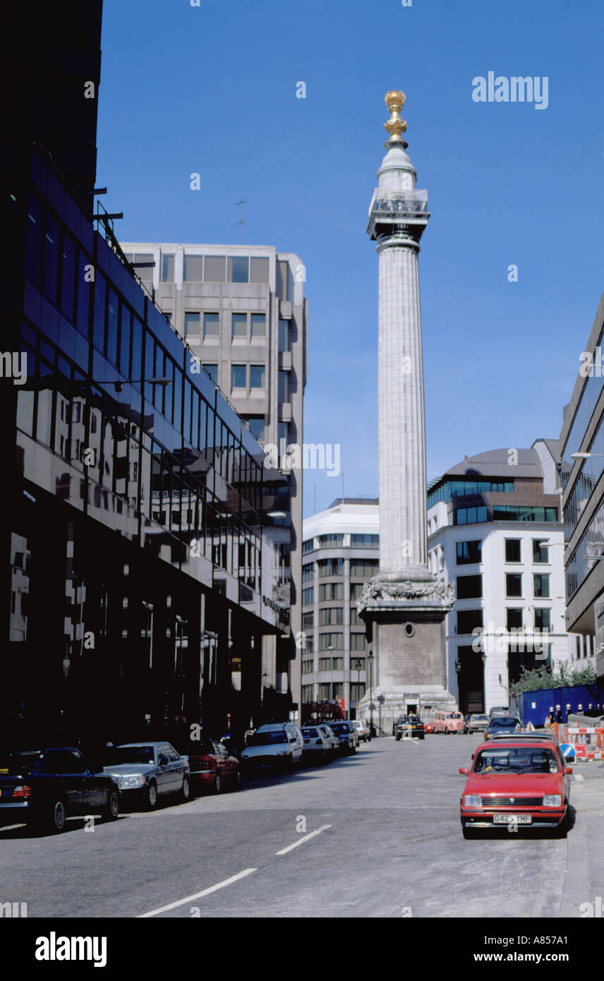 Un monumento al Grande Incendio di Londra, visto dal pesce Hill Street, Londra, Inghilterra, Regno Unito. Foto Stock