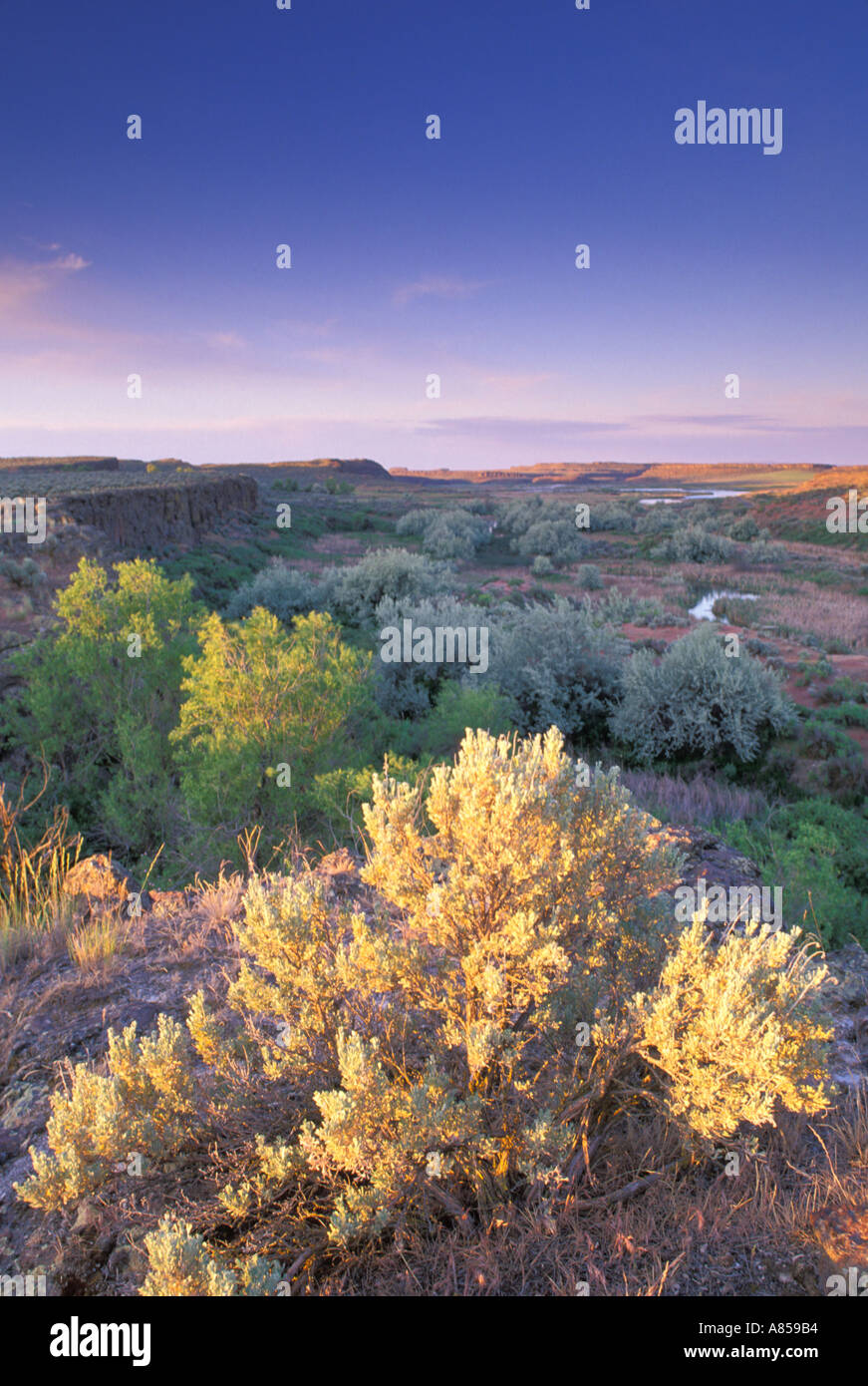 Alba sul Columbia National Wildlife Refuge Washington Foto Stock