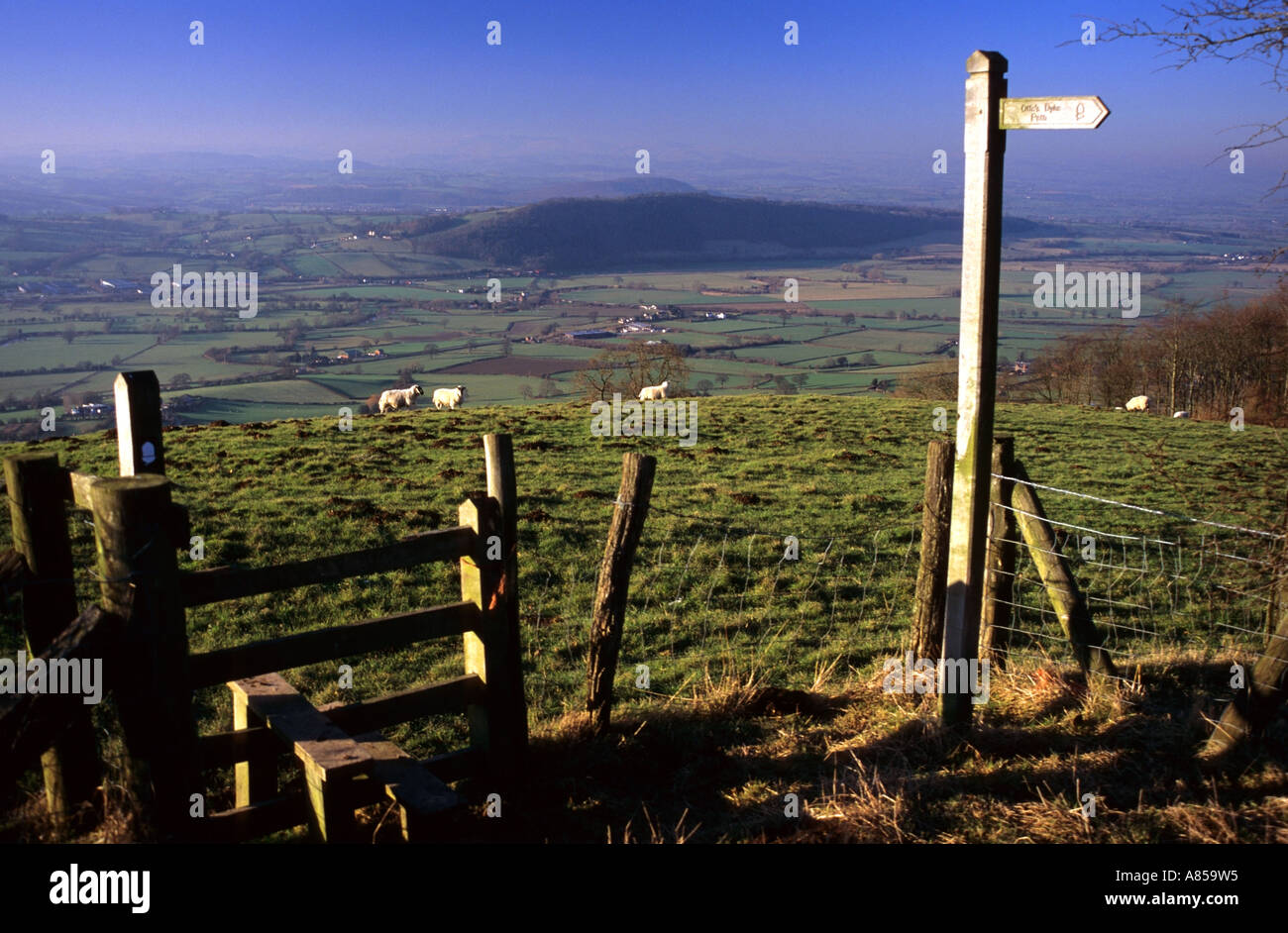 Offa's Dyke vicino a Welshpool, Galles Foto Stock