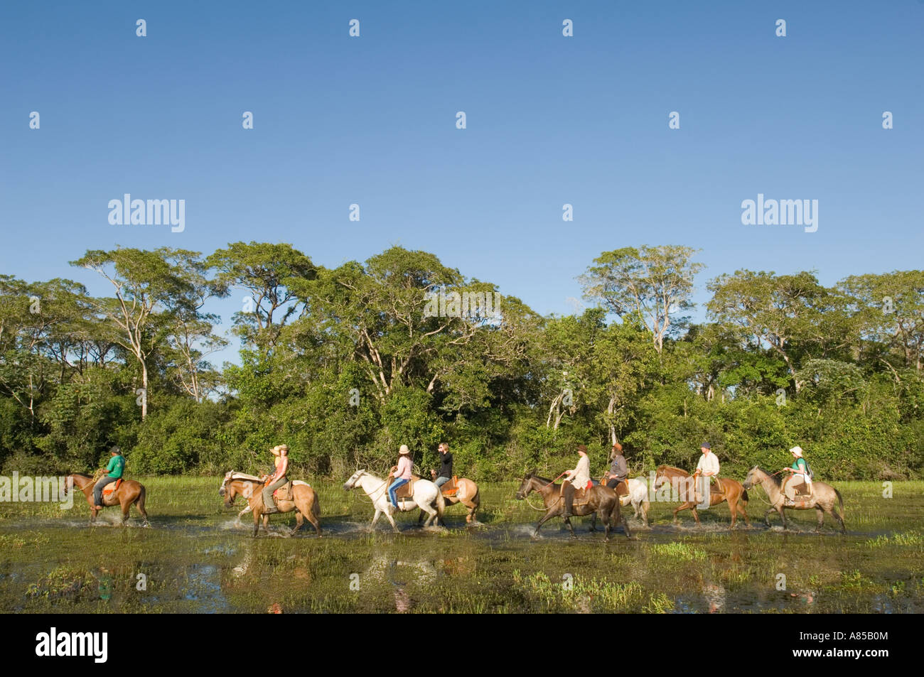 Un gruppo di turisti europei su una passeggiata a cavallo trek attraverso il Pantanal in Brasile. Foto Stock
