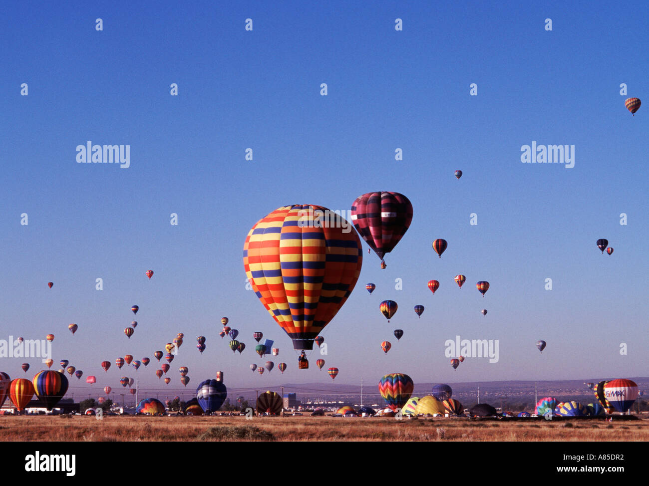 NM Albuquerque Balloon Fiesta Festival i palloni ad aria calda salendo da terra Foto Stock