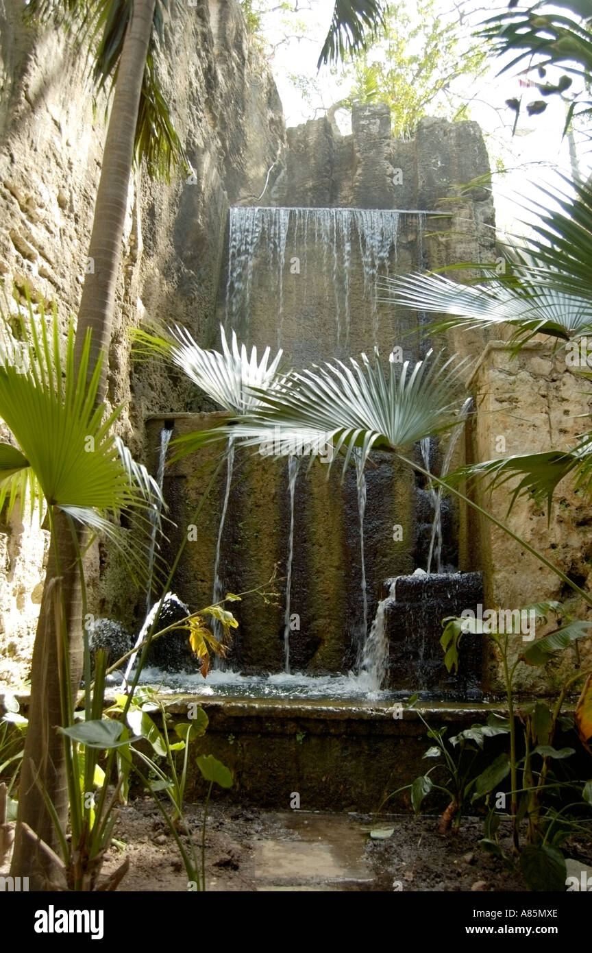 Cascate in una foresta di palme. Foto Stock