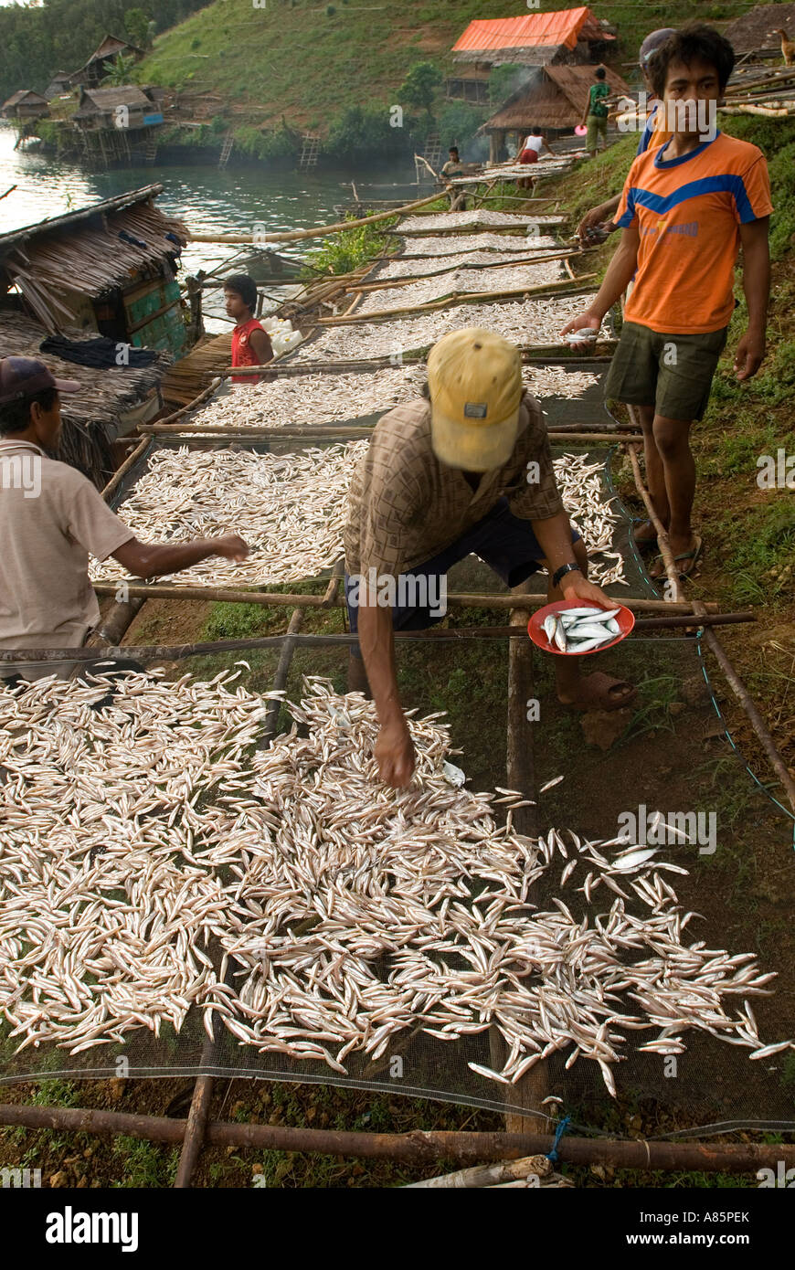 I pescatori Butonese asciugando le loro catture sotto il sole in temporanea villaggio di pescatori hanno impostato sul isola di Waigeo Raja Ampat Indonesia Foto Stock