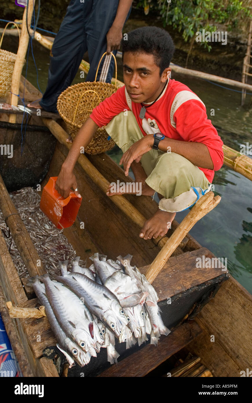I pescatori Butonese portando le loro catture per asciugare sotto il sole Isola di Waigeo Raja Ampat Indonesia Foto Stock