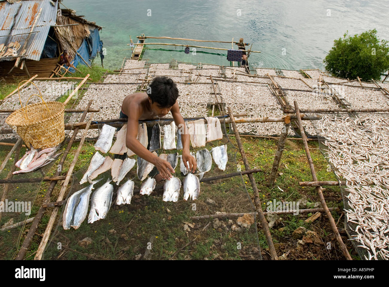 I pescatori Butonese asciugando le loro catture sotto il sole in temporanea villaggio di pescatori hanno impostato sul isola di Waigeo Raja Ampat Indonesia Foto Stock