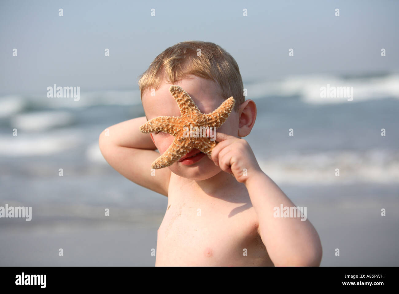 Bimbo di 2 anni in possesso di una stella di mare sul suo volto Foto Stock