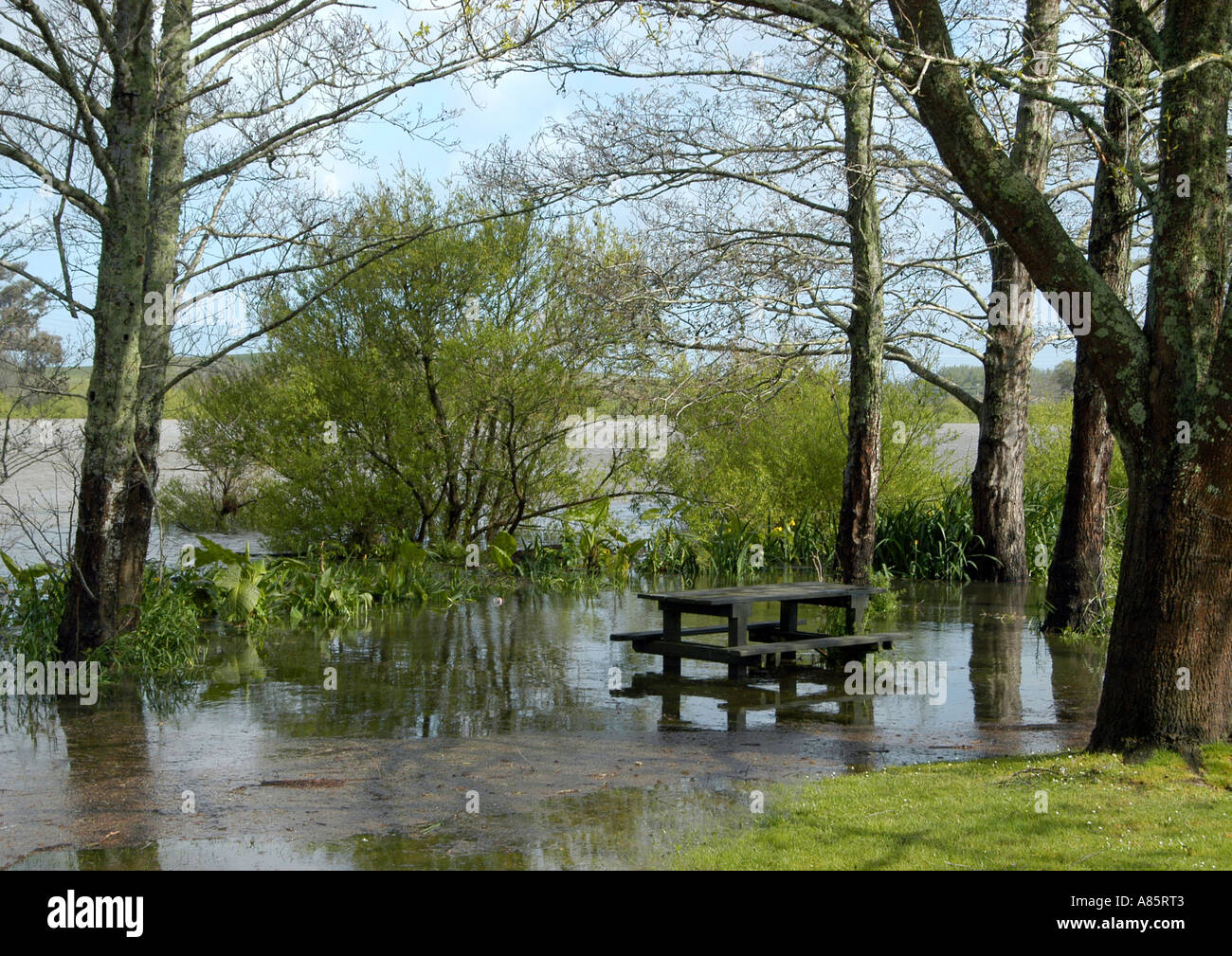 Inondati area con posti a sedere presso il cafe in Huntly, Nuova Zelanda Foto Stock