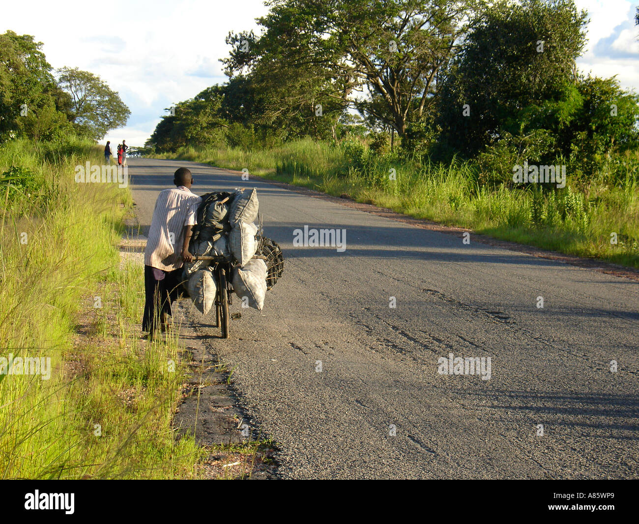 Nero africano guy spingendo una moto caricata con carbone sacchi sul lato di vuoto strada asfaltata con poche persone all'orizzonte in Zambia, Sud Africa Foto Stock