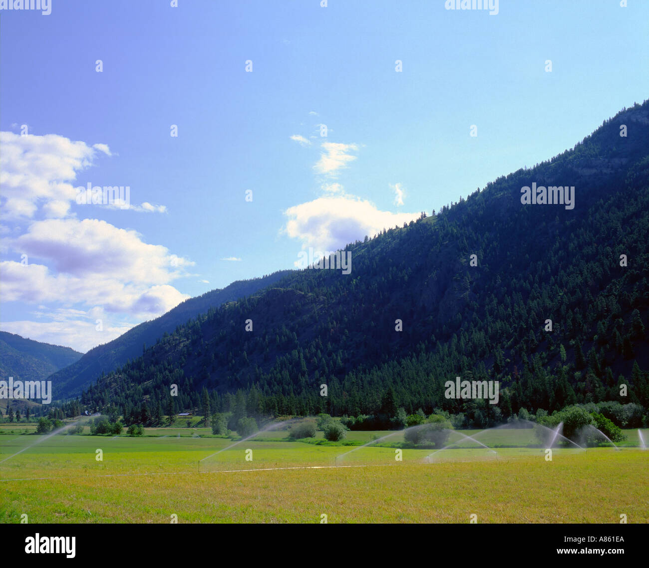 Irrigazione nella valle di Okanagan Sud Similkameen regione della Columbia britannica in Canada Foto Stock