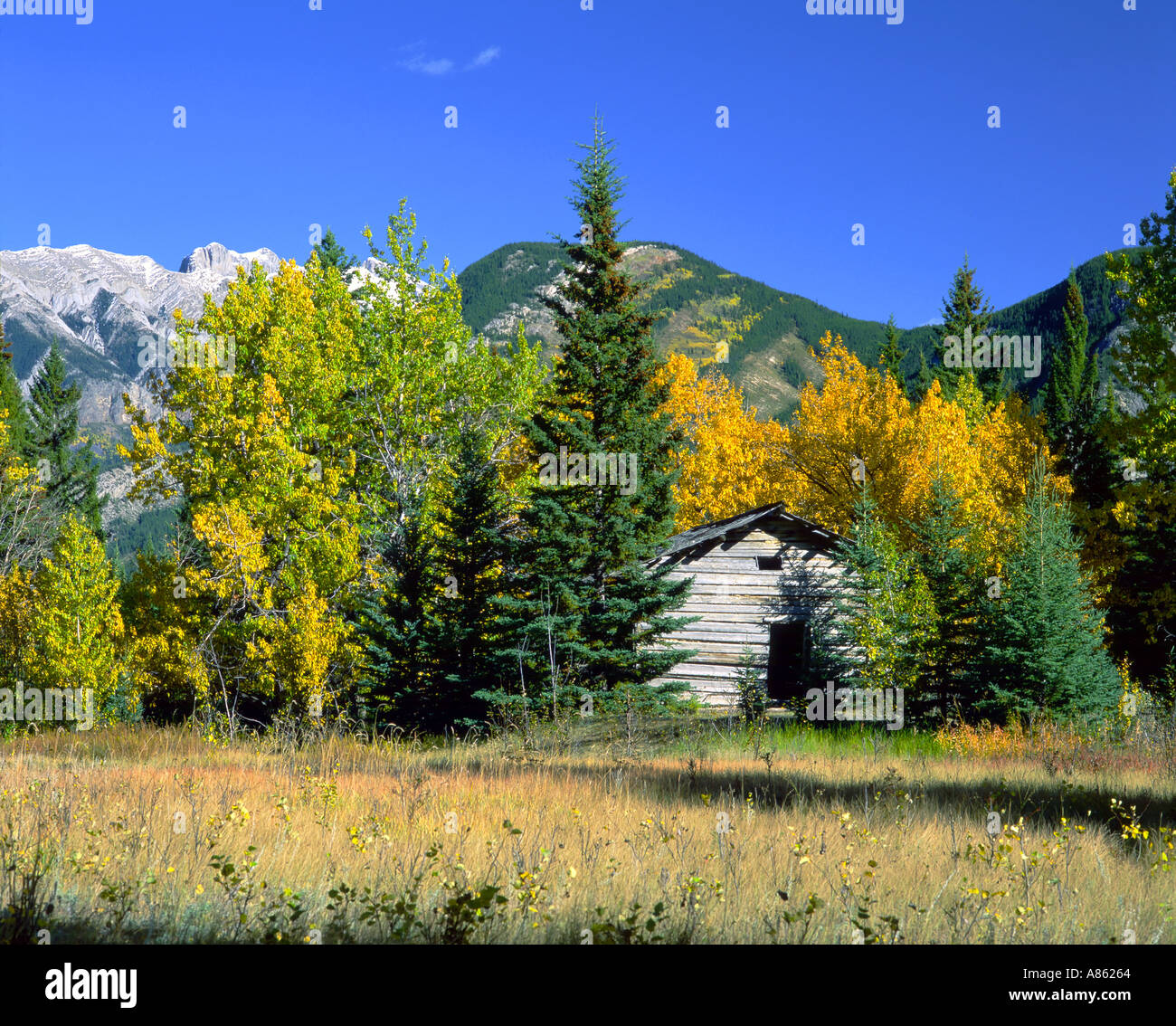 Abbandonato homestead Jasper National Park nello stato di Alberta in Canada Foto Stock