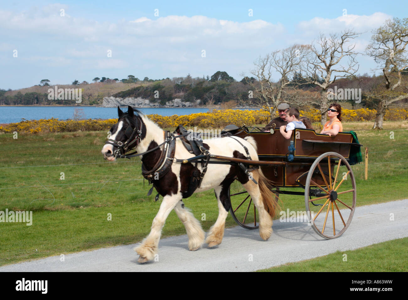 Carro trainato da cavalli a fianco di Muckross lago al Parco Nazionale di Killarney nella Contea di Kerry Foto Stock