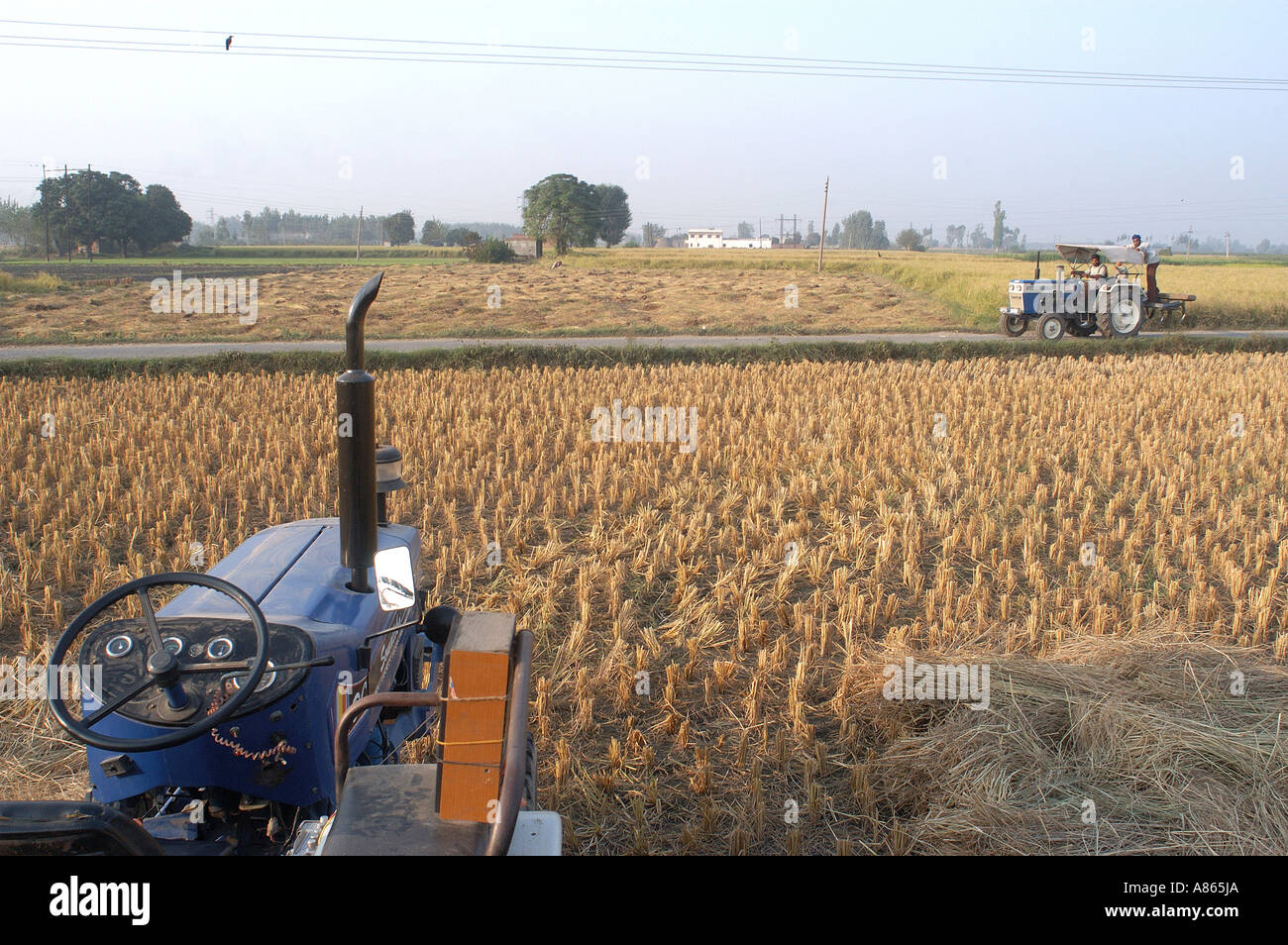 Trattori e campi di grano in Punjab , India Foto Stock