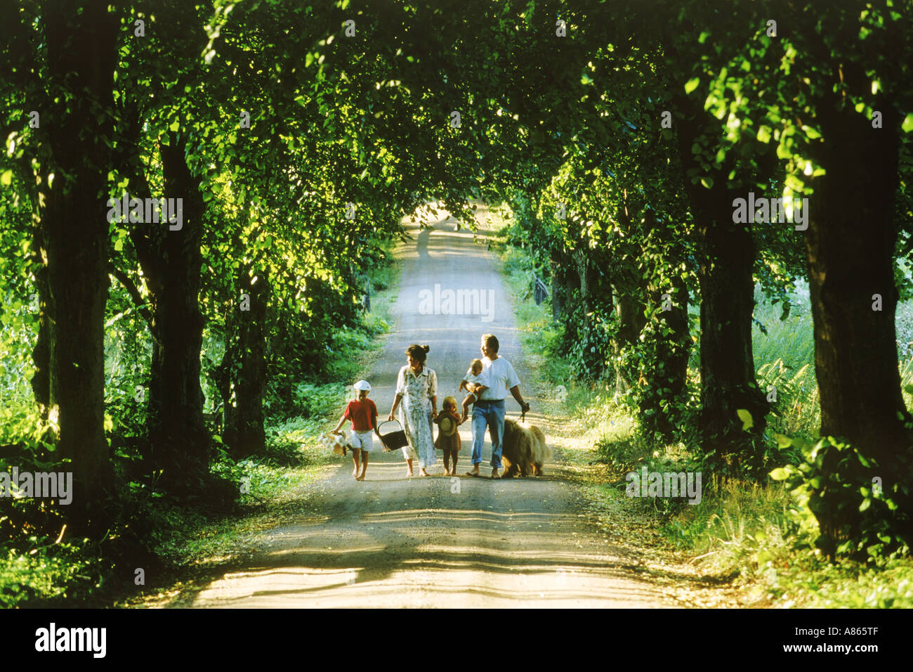 Famiglia di cinque persone con cane sul viale alberato strada di campagna in Svezia Foto Stock