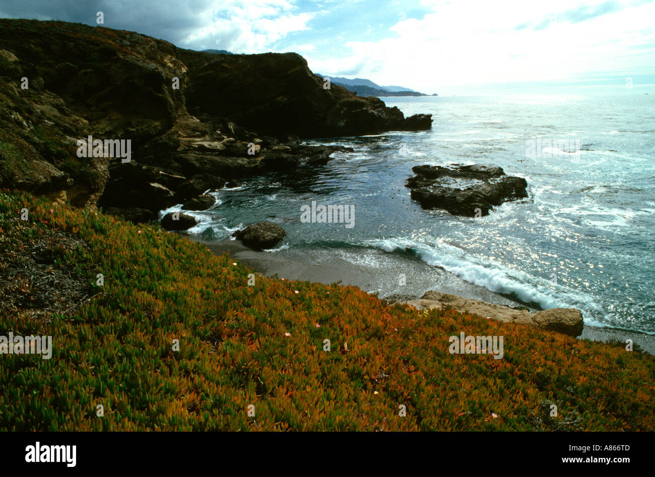 Gibson Beach Point Lobo Riserva Statale vicino a Carmel California USA Foto Stock