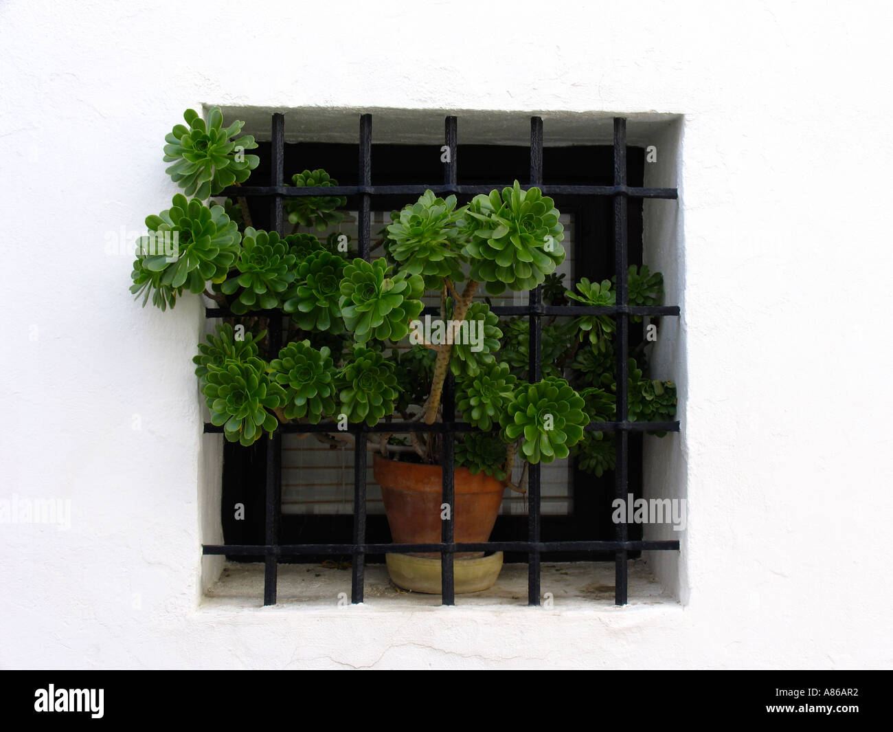Tipica finestra spagnolo con un impianto Foto Stock