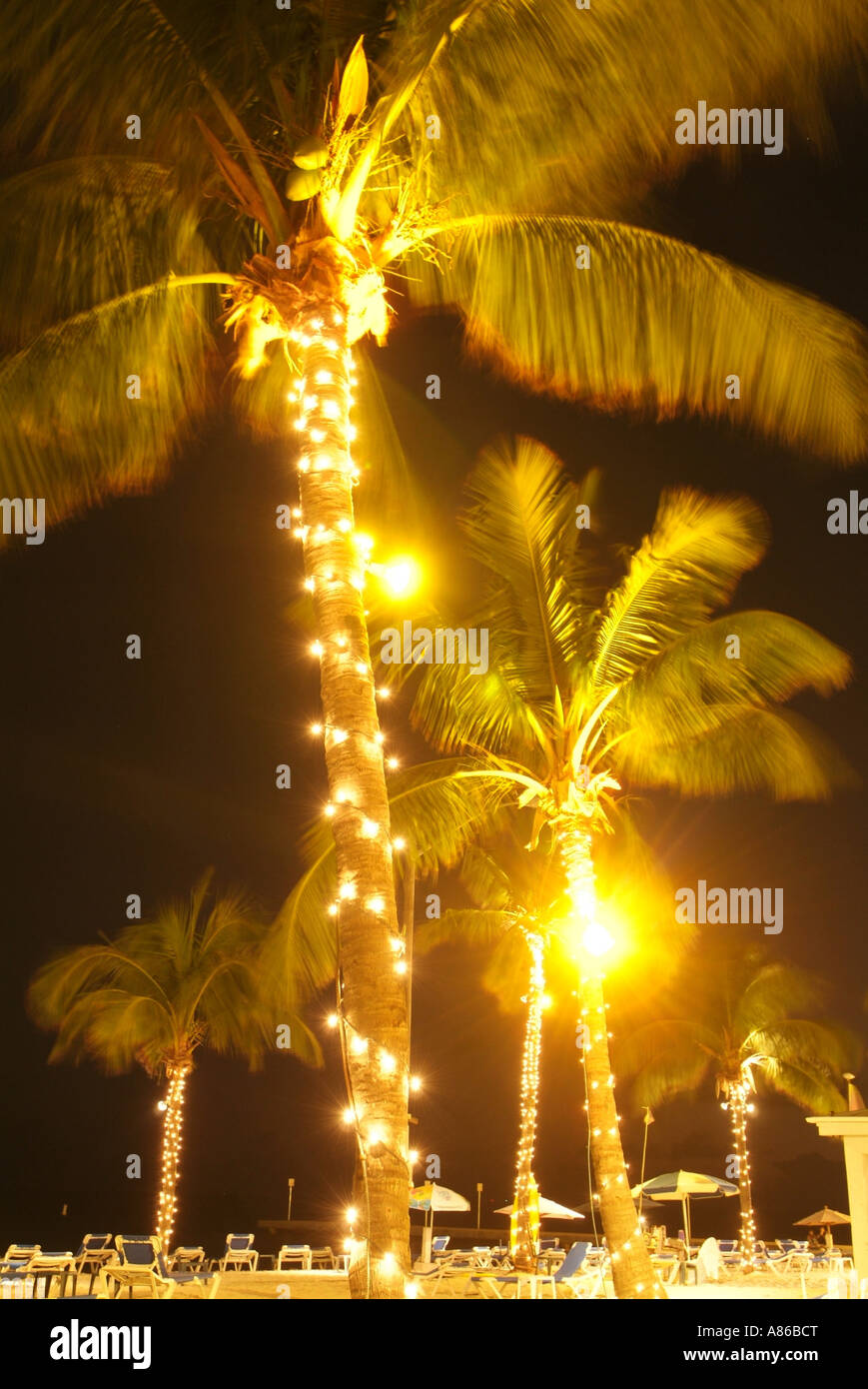 Luci su palme illumina la spiaggia più meridionale di Key West Foto Stock