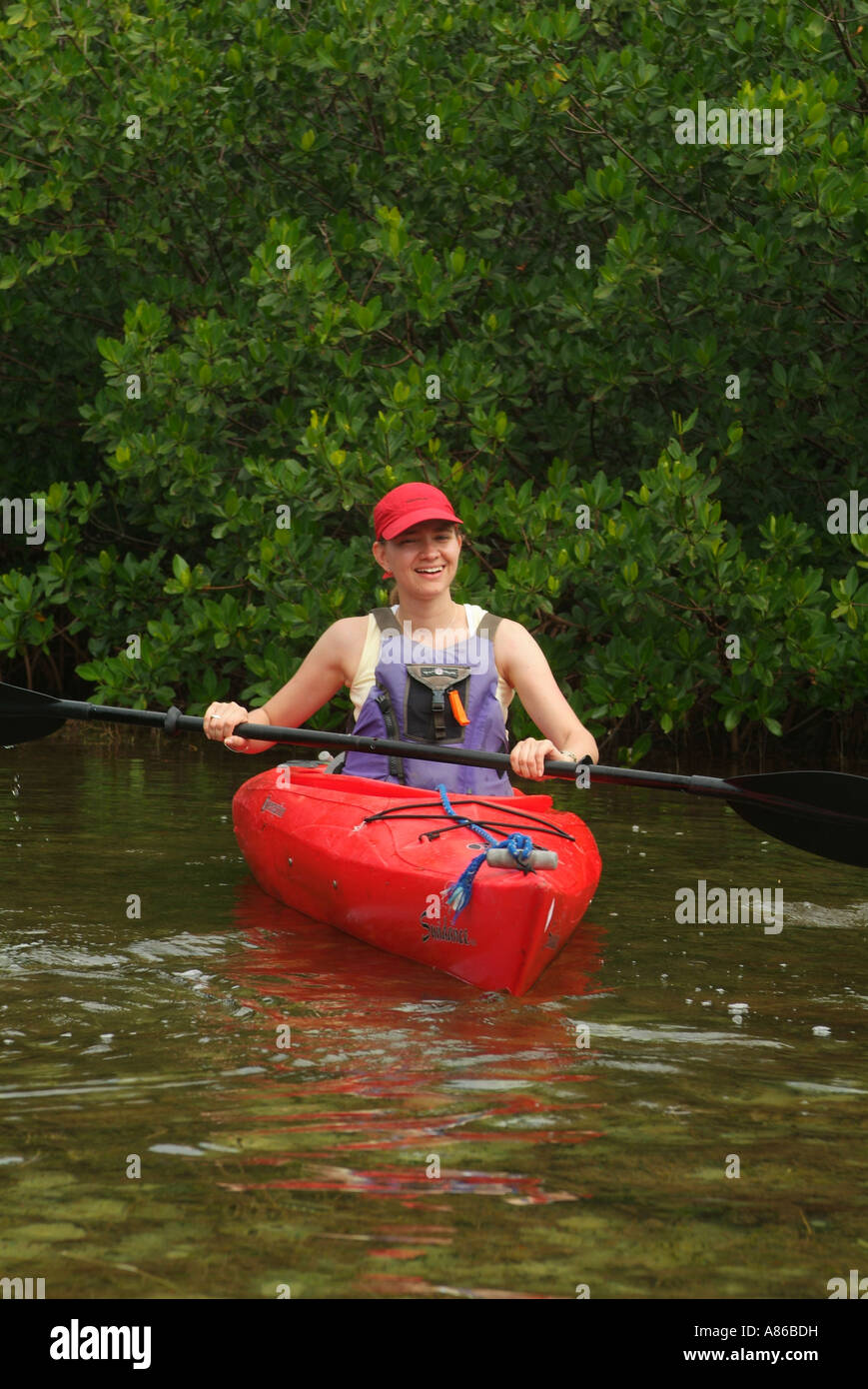 Kayakers godere di canoa tra le mangrovie intorno al Big Pine Key Foto Stock