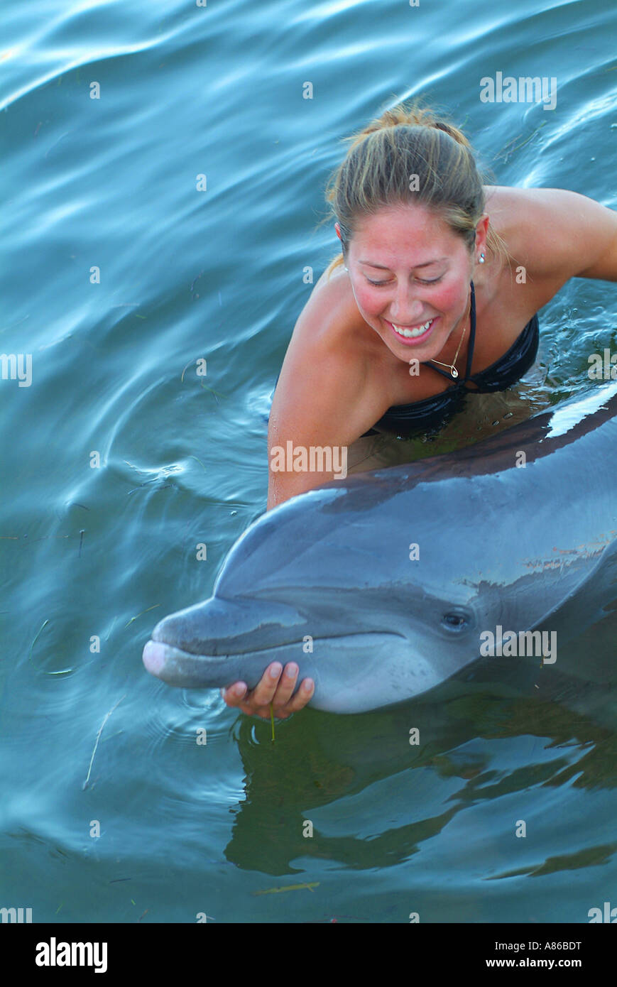 Una donna arriva a toccare un delfino in un ambiente vincolato presso il Centro Ricerca Delfini a chiave erbosa Foto Stock