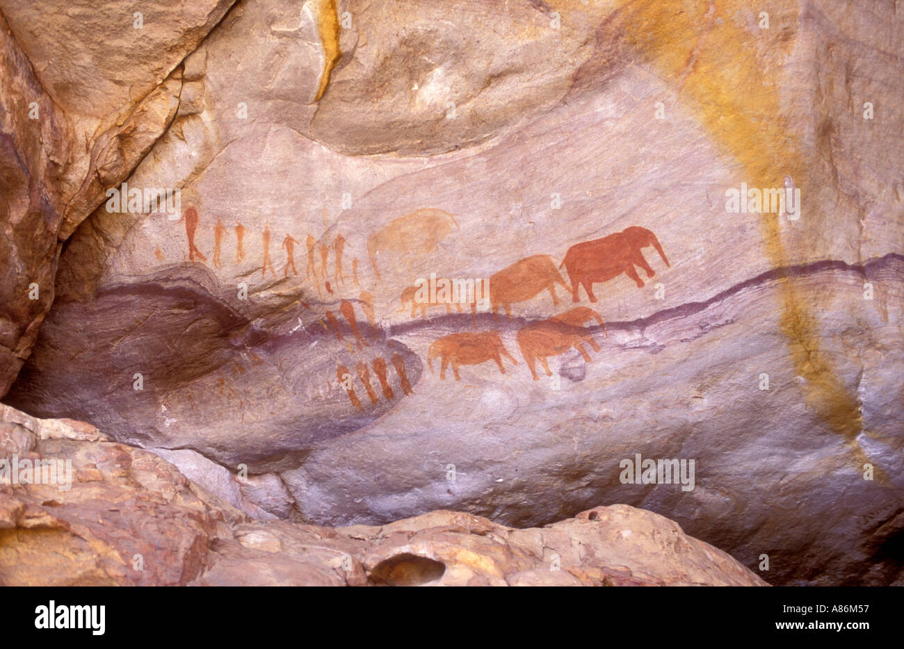 I Boscimani o San dipinti nella Cedarberg Mountains Western Cape Sud Africa queste raffigurano figure umane e gli elefanti Foto Stock