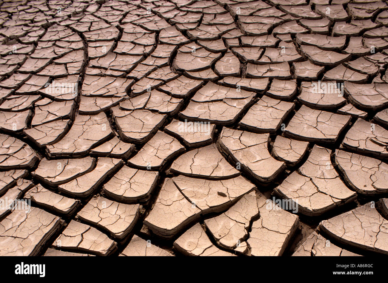 Deserto di Fango secco negli Stati Uniti degli Stati Uniti Death Valley Foto Stock