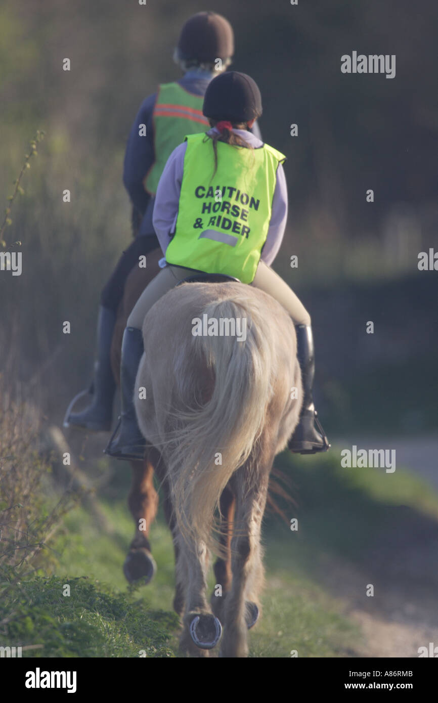 Piloti del cavallino sulla SOUTHDOWNS SLINDON WESTSUSSEX ARUNDEL Foto Stock