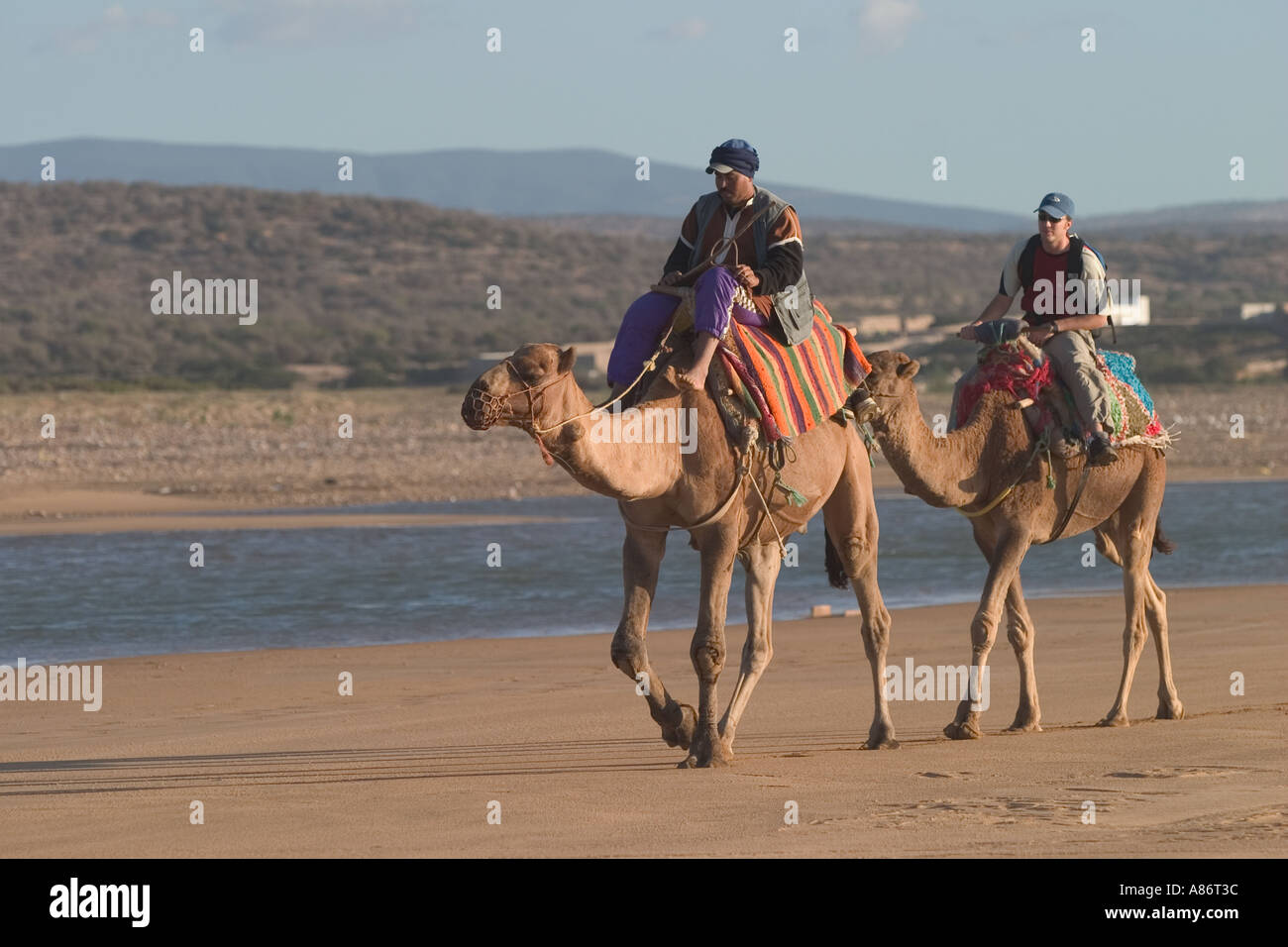 Due dromedario cammelli e i loro piloti a piedi lungo la spiaggia di Sidi Kaouki vicino Essaouira sulla costa atlantica del Marocco Foto Stock