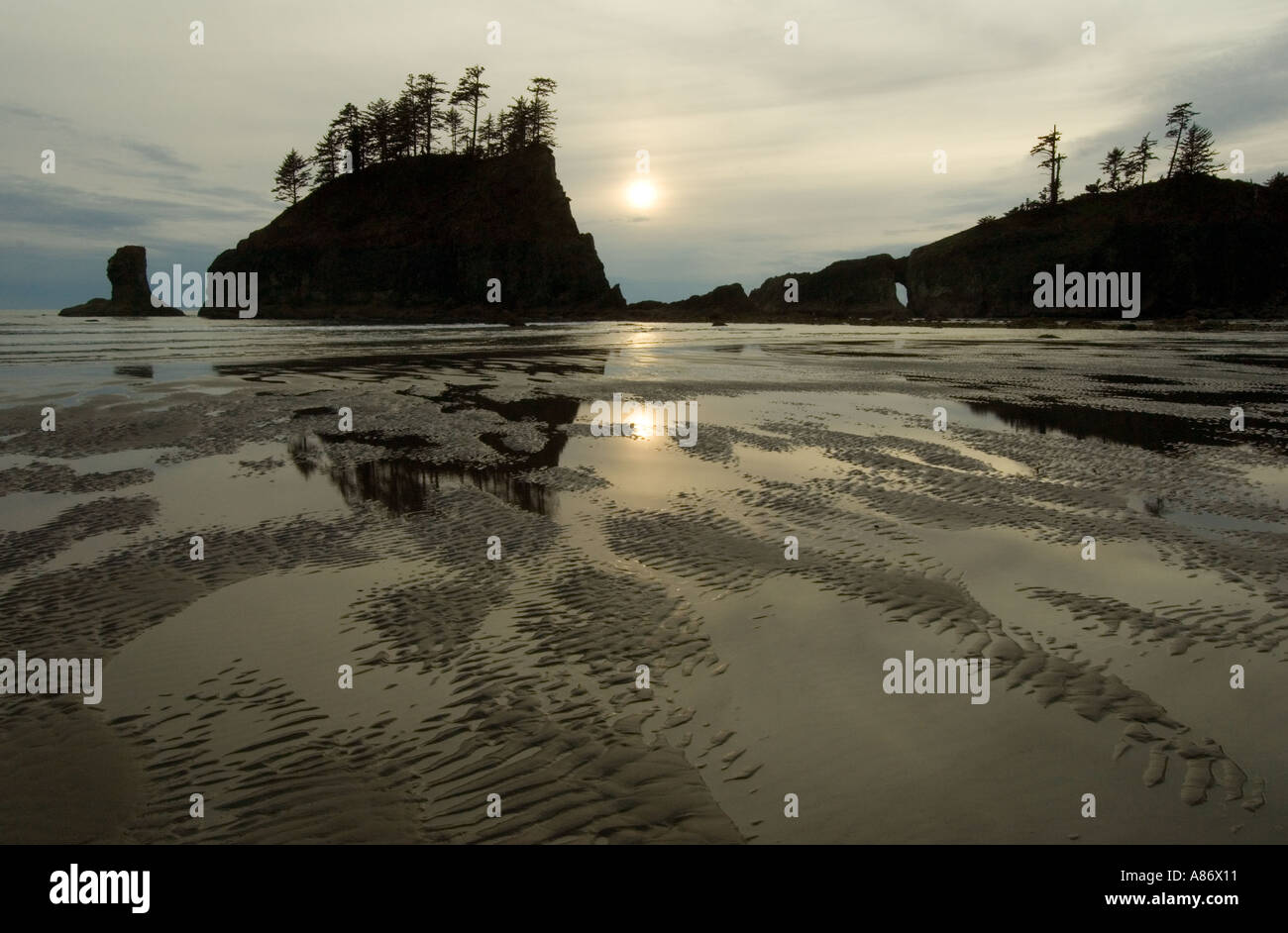 Il Parco nazionale di Olympic, WA, Offshore stack e arco naturale al tramonto Foto Stock