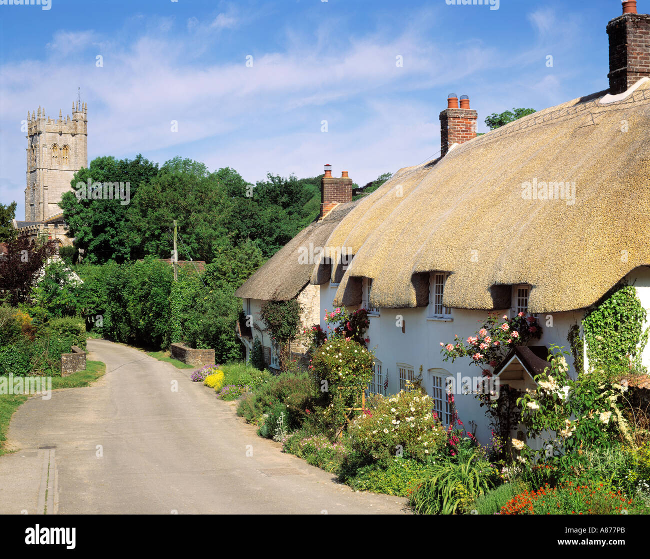 GB DORSET PIDDLETRENTHIDE Church Lane CHIESA DI TUTTI I SANTI Foto Stock