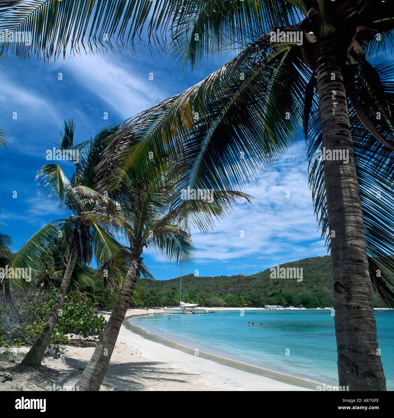Spiaggia tranquilla, Satwhistle Bay, Mayreau, Grenadine, West Indies, dei Caraibi Foto Stock