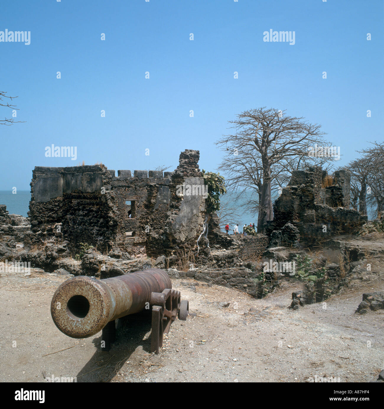 Fort sull Isola James, Radici escursione, Gambia, Africa occidentale Foto Stock