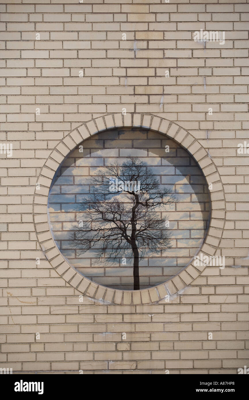 Collage surreale pittura albero nella finestra rotonda Foto Stock