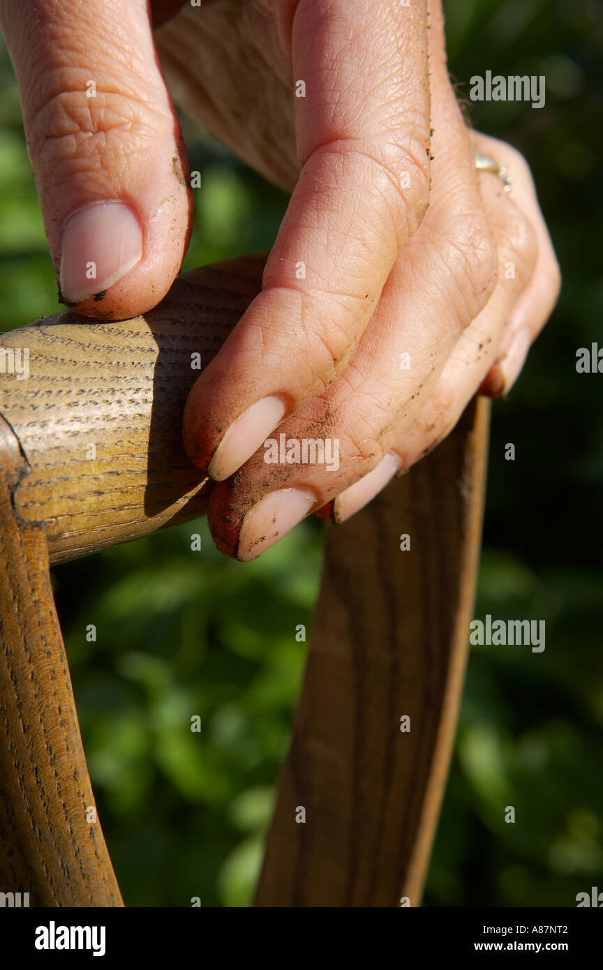Donna modello rilasciato con sporco mano che tiene un giardino forcella Dorset England Regno Unito Foto Stock