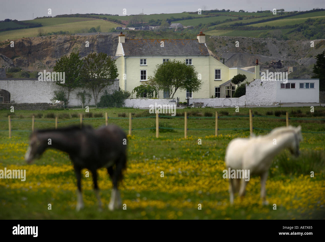 Hurst House Hotel vicino a Laugharne in Dyfed Galles posseduto dalla televisione Attore Neil Morrissey Foto Stock